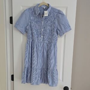 J. Crew Blue Striped Casual Dress
